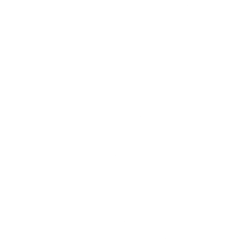 wine glass