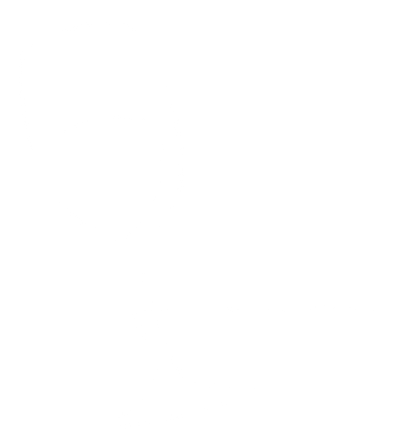 wine glass